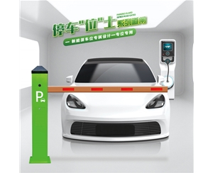 东平RG-CW系列车位小道闸